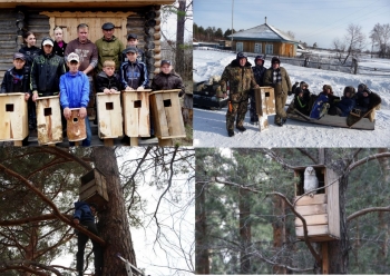 По экологическому образованию